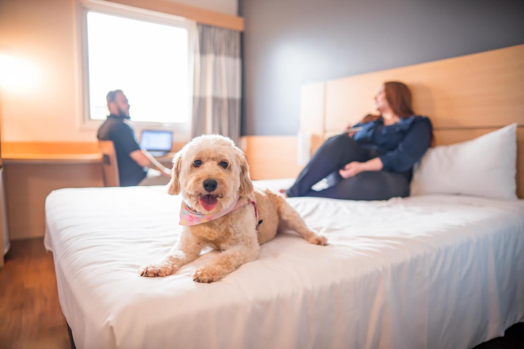 Ibis Itu Plaza Shopping Hotell Exteriör bild